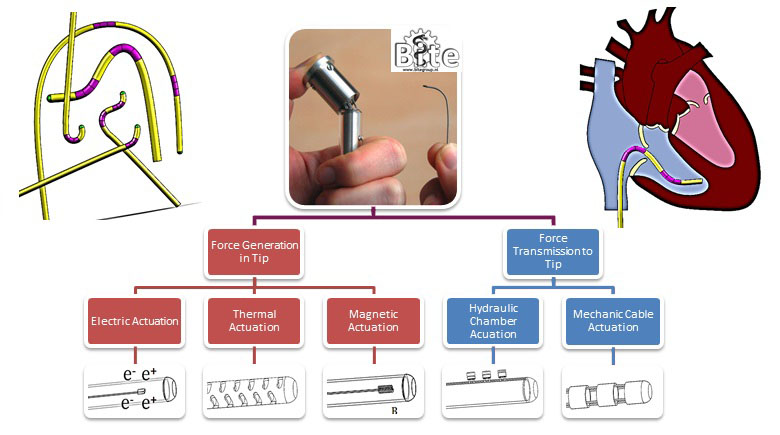 Steerable Catheters in Cardiology: Classifying Steerability and Assessing Future Challenges