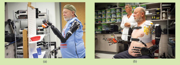 Figure 4: (a) Les Baugh, a bilateral shoulder-level amputee working with the Johns Hopkins Applied Physics Laboratory, completes a task showcasing his control of the prosthetic limbs. (b) APL prosthetist Courtney Moran looks on as Baugh tests the limbs. (Photos courtesy of the Johns Hopkins University Applied Physics Laboratory.)