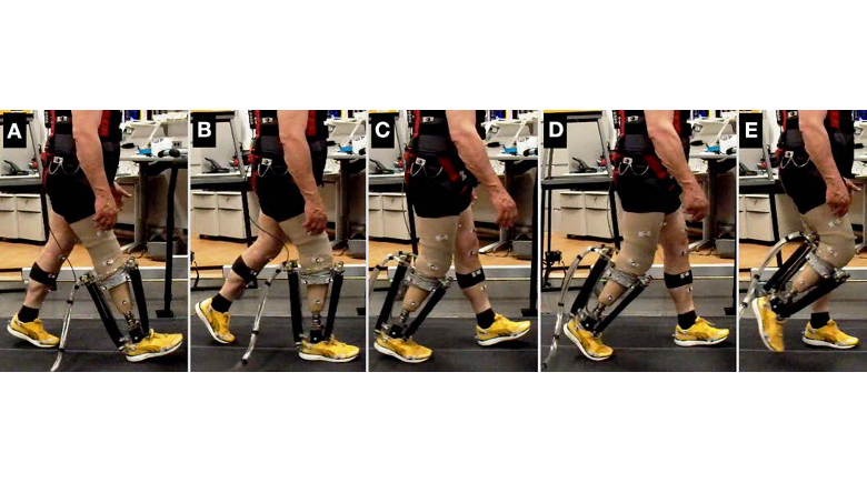 Locomotor Adaptation by Transtibial Amputees Walking With an Experimental Powered Prosthesis Under Continuous Myoelectric Control
