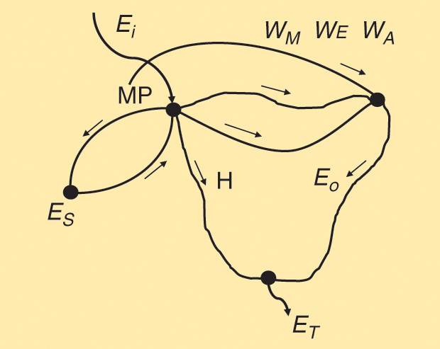 Figure 12: An energy flow diagram. (See text discussion for elaboration.)