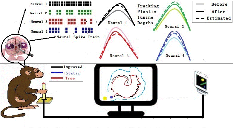 Tracking Neural Modulation Depth
