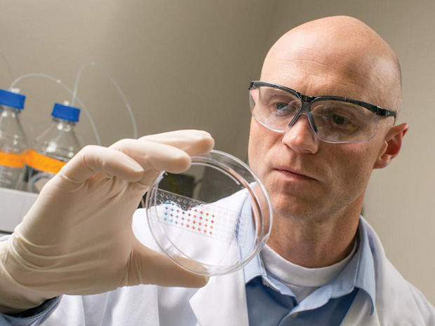 Figure 6: William Murphy of the University of Wisconsin, Madison, looks at patterned biomaterials his laboratory uses to develop organoids.