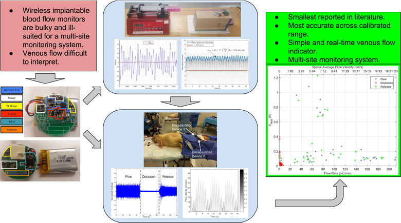 A System for Simple Real-Time Anastomotic Failure Detection and Wireless Blood Flow Monitoring in the Lower Limbs