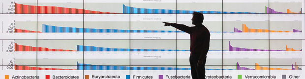 Figure 4: Knight (in silhouette) points out some of the data on microbes gathered as part of the American Gut Project. (Photo courtesy of the University of California, San Diego.)