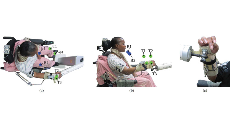 Semiparametric Identification of Human Arm Dynamics for Flexible Control of a Functional Electrical Stimulation Neuroprosthesis