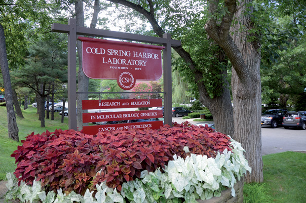 Figure 2: Founded in 1890, Cold Spring Harbor Laboratory has been studying cancer for nearly a century and has grown into an internationally known cancer research institution. (Photo courtesy of Philip Renna.)