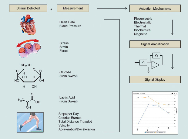 Figure 3: A schematic summarizing the role of wearables from biomarker and biovital sensing to signal amplification and data analysis.