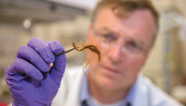 Figure 3: Glendon Parker, formerly a biochemist with the Lawrence Livermore National Laboratory (LLNL) Forensic Science Center, examines a 250-year-old archaeological hair sample that has been analyzed for human identification using protein markers. Researchers from LLNL and a Utah startup company (Parker is founder and CEO) have developed the first-ever biological identification method that exploits the information encoded in proteins of human hair. (Photo courtesy of Julie Russell/LLNL.)