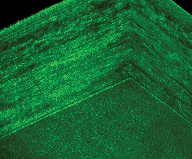 Figure 5: An image from Rolland’s laboratory shows a cross section of the cornea using a novel imaging technology called Gabor domain optical coherence microscopy. (Image courtesy of Jannick Rolland.)