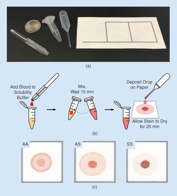 Figure 2: The paper-based sickle cell disease test: (a) a photo of the necessary components, (b) an outline of the procedure, and (c) the results for typical adult blood (AA ), sickle cell trait (AS), and sickle cell disease (SS). The dime in (a) is shown for size reference.