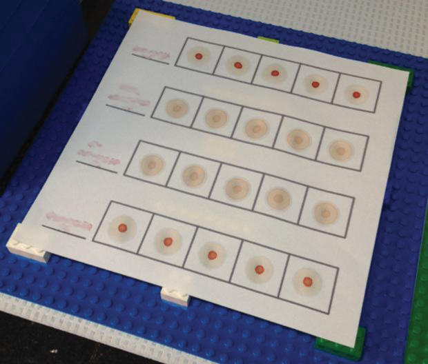 Figure 3: A photo of the first set of paper-based tests that were performed in Angola (patient identification numbers blurred out for privacy).