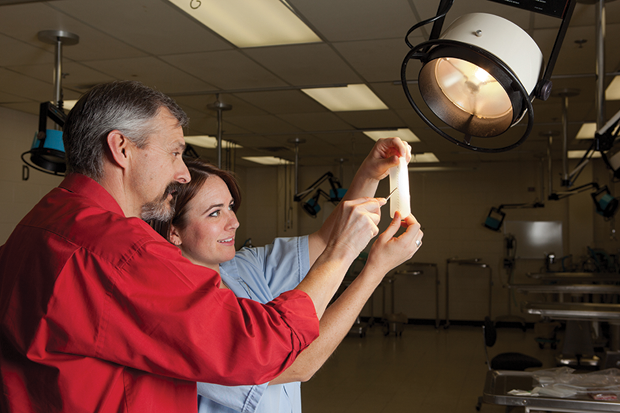Figure 3: Dean Hendrickson and a student examine a SurgiReal simulated tissue model. (Photo courtesy of SurgiReal.)