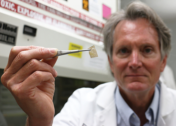 Figure 4: Jonathan McAnulty, chair of the Department of Surgical Sciences at the UW School of Veterinary Medicine, holds up a small portion of an ultrathin, polymeric nanofilm containing nanoparticles of elemental silver used in advanced wound dressings. Research has demonstrated the ability of the nanofilm to speed up wound closure and reduce the need for painful and costly bandage changes. (Photo courtesy of Nik Hawkins, UW School of Veterinary Medicine.)