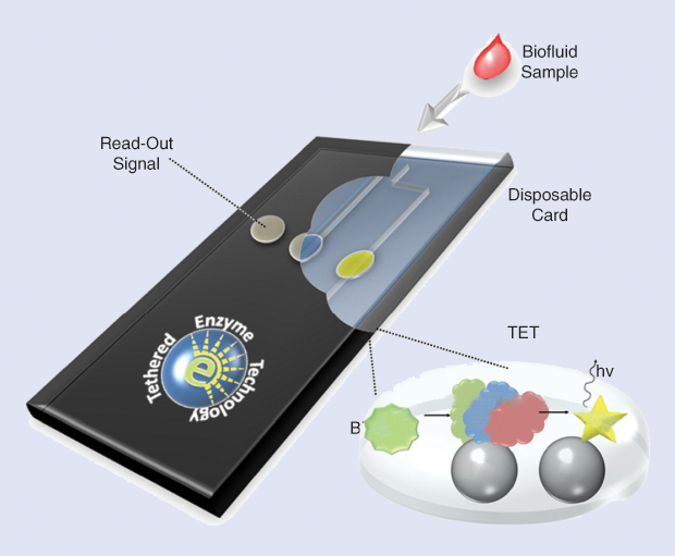 Figure 5: A drop of sample (blood/saliva/urine/water) is placed into a disposable microfluidic cartridge. Bioengineered enzyme mixtures, such as tethered enzyme technology (TET), can detect various analytes (biomarkers), providing a luminescent readout within minutes. The TET-based device can be used for various medical and veterinarian applications. hv: light; NP: nanoparticle. (Photo courtesy of Roy Cohen, Cornell University.)