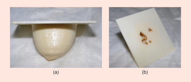 Figure 3: Representative physical breast phantoms that achieve anatomical realism through 3-D printing of computer models derived from breast MRIs [28]: (a) the side view, showing the exterior shape and (b) the top view, revealing the voids within the plastic volume that are filled with a fibroglandular tissue-mimicking liquid.