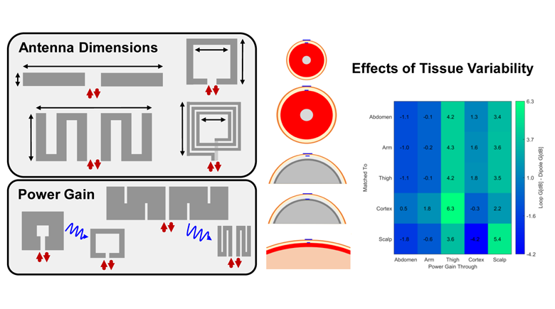 Tissue Variability and Antennas for Power Transfer to Wireless Implantable Medical Devices
