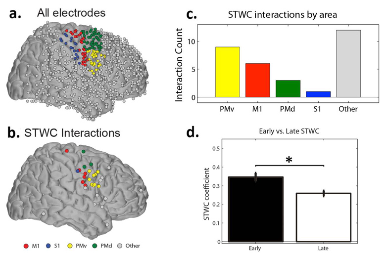 BCI Use and Its Relation to Adaptation in Cortical Networks