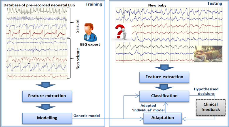 Towards a Personalized Real-Time Diagnosis in Neonatal Seizure Detection