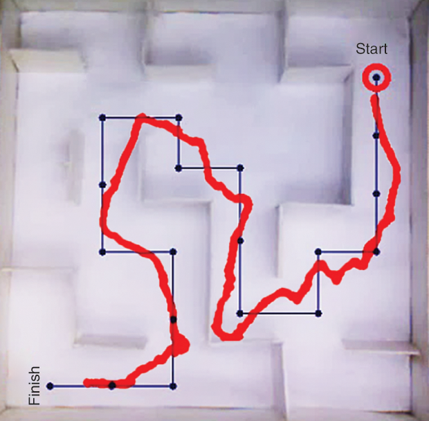 Figure 4: A maze arena showing the designated path, with an overlay in red of the path taken by a roach biobot [4].