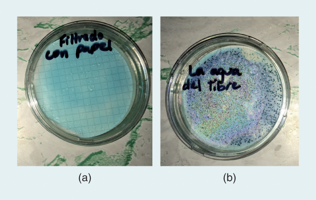 Figure 5: Researchers look for the presence of E. coli in (a) filtered and (b) unfiltered water in Honduras. (Photos courtesy of Theresa Dankovich.)