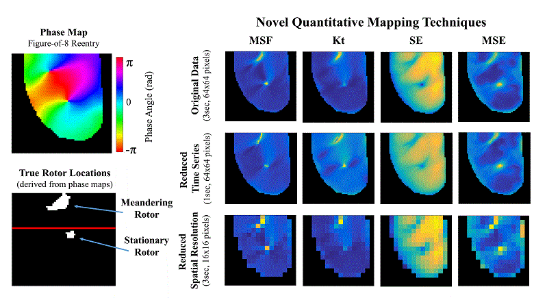 Novel Quantitative Analytical Approaches for Rotor Identification and Associated Implications for Mapping