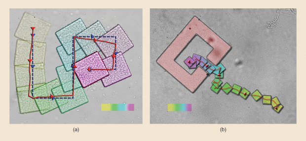 Figure 4: In 2011, Min Jun Kim and his research group at Drexel University’s Biological Actuation, Sensing, and Transport Lab showed that an electrical field could be used to move a simple microrobot, made up of a microfabricated inorganic structure coated with the common pathogen Serratia marcescens, a naturally negatively charged microbe. The group was able to (a) steer the microrobots in two dimensions and (b) navigate obstacles; the arrows show movement progression. (Reprinted with permission from E.B. Steager, M.S. Sakar, D.H. Kim, V. Kumar, G. Pappas, and M.J. Kim.)