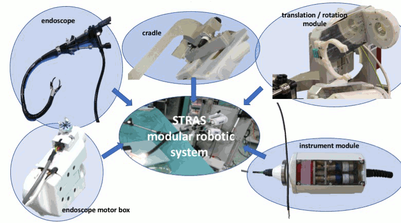A Novel Telemanipulated Robotic Assistant for Surgical Endoscopy: Preclinical Application to ESD