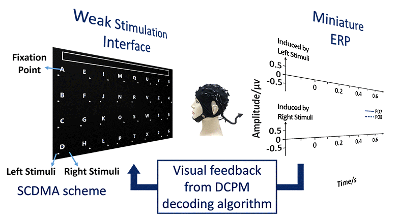 A Brain–Computer Interface Based on Miniature-Event-Related Potentials Induced by Very Small Lateral Visual Stimuli
