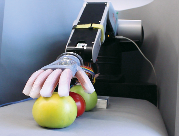 Figure 1: A soft robotic hand, developed at Cornell’s Organic Robotics Lab, has the ability to sense which one of three tomatoes is the ripest by touching them. The hand’s sense of touch is enabled by optoelectronic elastomeric strength sensors. (Image courtesy of Huichan Zhao, Organic Robotics Lab.)