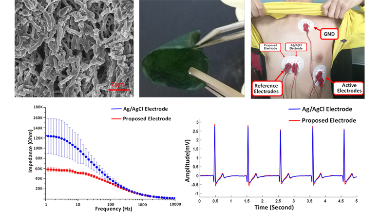 A Novel Antibacterial Membrane Electrode Based on Bacterial Cellulose/Polaniline/AgNO3 Composite for Bio-Potential Signal Monitoring