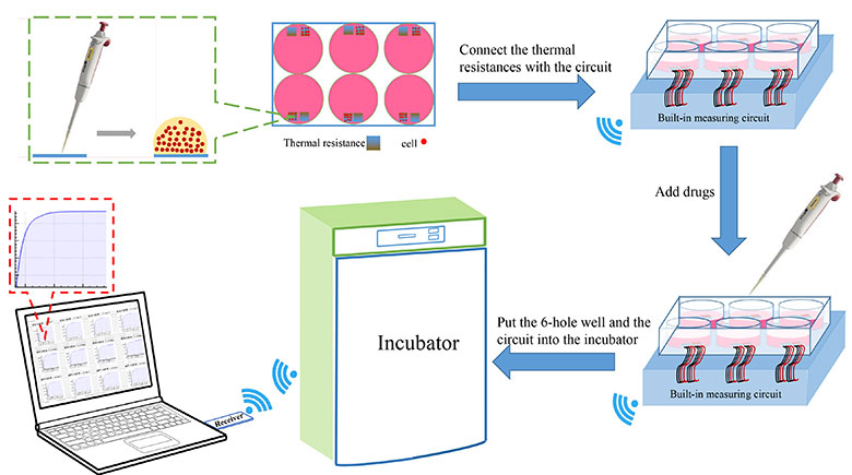Wireless Thermometry for Real-Time Temperature Recording on Thousand-Cell Level