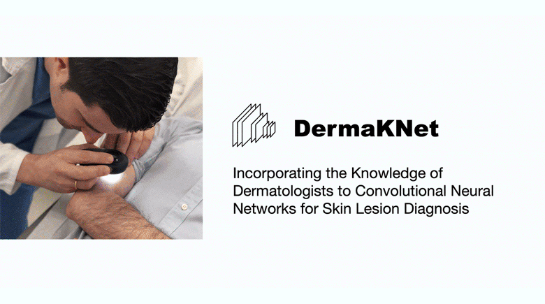 DermaKNet: Incorporating the knowledge of dermatologists to Convolutional Neural Networks for skin lesion diagnosis