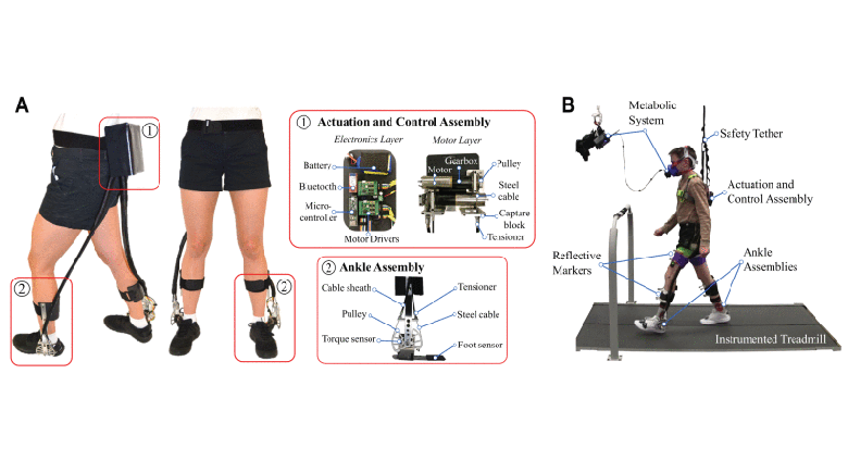 Proportional Joint-Moment Control for Instantaneously Adaptive Ankle Exoskeleton Assistance