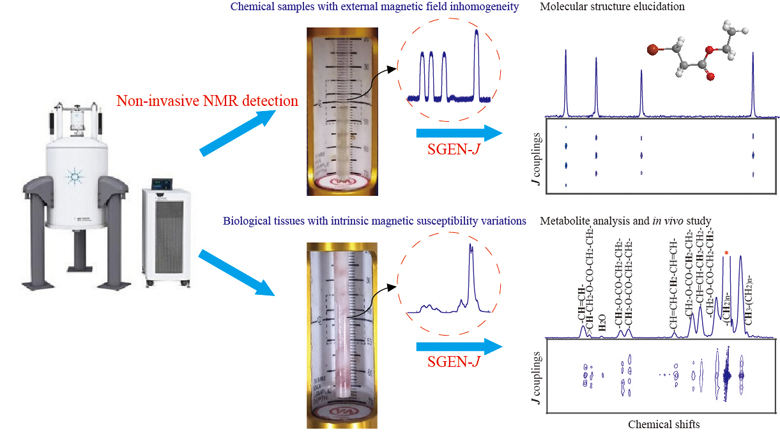 A Single-Scan Inhomogeneity-Tolerant NMR Method for High-Resolution 2D J-Resolved Spectroscopy