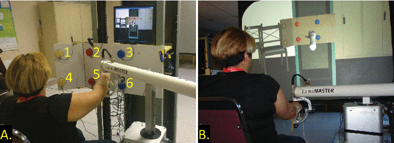 Robot-Assisted Reaching Performance of Chronic Stroke and Healthy Individuals in a Virtual Versus a Physical Environment: A Pilot Study