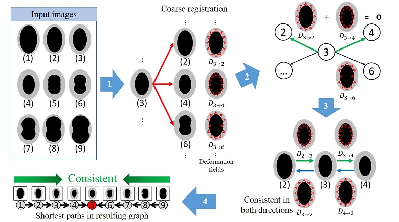 A New Image Similarity Metric for Improving Deformation Consistency in Graph Based Groupwise Image Registration