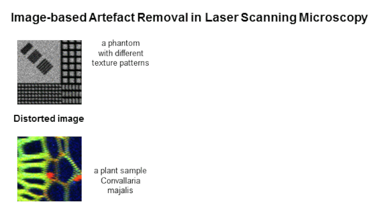 Image-based Artefact Removal in Laser Scanning Microscopy