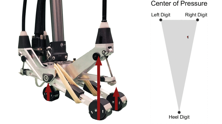 An Ankle-Foot Prosthesis Emulator Capable of Modulating Center of Pressure