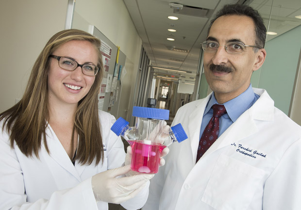 Figure 1. Dr. Farshid Guilak (right) and his research group at Washington University are using stem cells from a patient’s bone marrow or subcutaneous fat to regrow the entire head of a hip joint. The container in doctoral student Ali Ross’s hands holds a prototype of the living hip joint. Spin-off company Cytex Therapeutics of Durham, North Carolina, is doing the translational work, and Guilak hopes to get the hip replacement into phase one human trials by about 2022. Photo courtesy of Washington University.