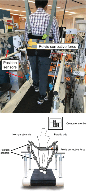 Use of Pelvic Corrective Force With Visual Feedback Improves Paretic Leg Muscle Activities and Gait Performance After Stroke