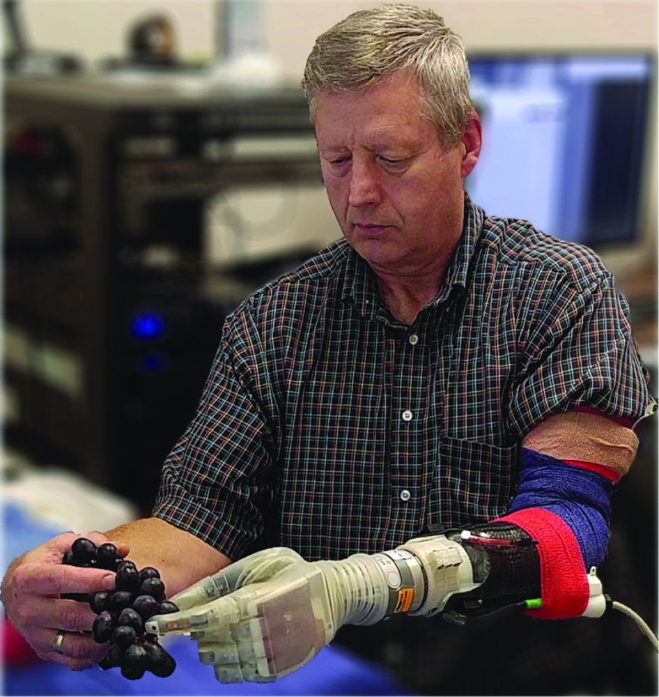 Figure 2. Keven Walgamott, an amputee, uses the Utah-enhanced LUKE arm to pluck a grape from a cluster without crushing it, a task that would be extremely difficult, if not impossible, without tactile sensation. (Photo courtesy of the University of Utah Center for Neural Interfaces.)
