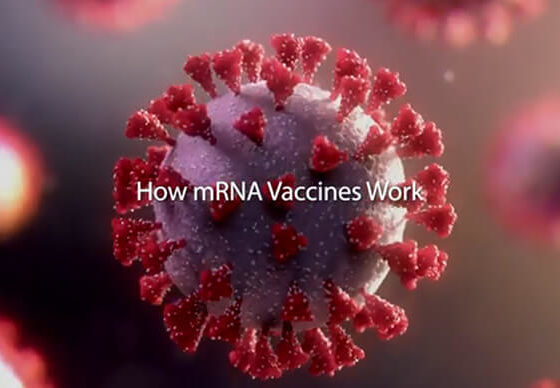 How mRNA Vaccines Work